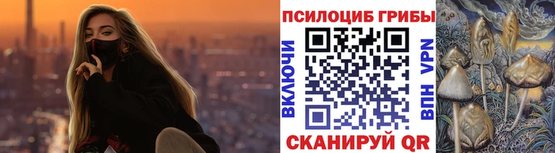 Купить закладки  Новокубанск  Галлюциногенные грибы прущие грибы 
