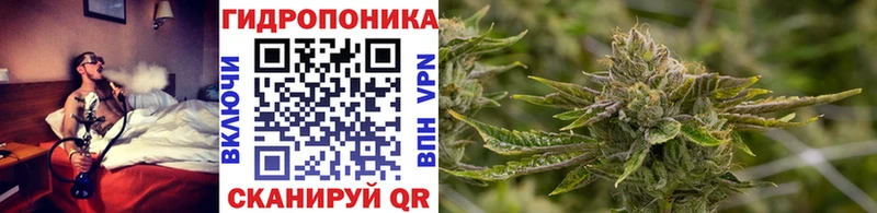 Купить где Новокубанск Канабис OG Kush